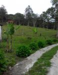 Imóvel rural no Jd. dos Eucaliptos - São Paulo - SP